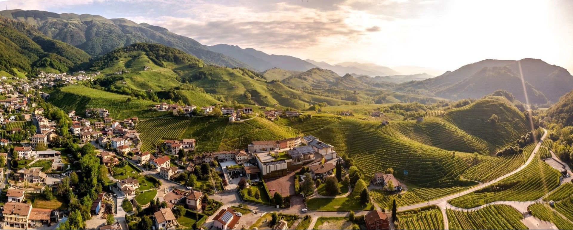 Panoramablick von oben auf grüne, hügelige Weinberge und ein kleines Dorf im Sonnenlicht